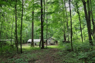 710 Routt Rd, Wallingford, KY 41093