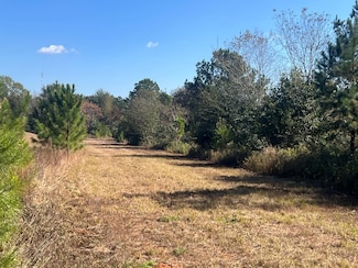 0 Highway 29, Troy, AL 36081