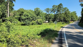 405 Harmon St, Lexington, SC 29072