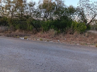 13702 Moises Flores Rd, Edcouch, TX 78538