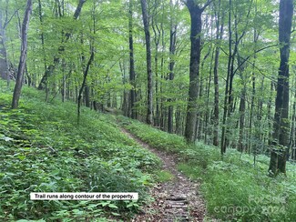 Lots 230-231 Hanging Rock Rd, Mars Hill, NC 28754
