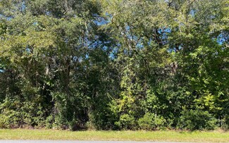 LOT22 NW Cr 141, Jennings, FL 32053