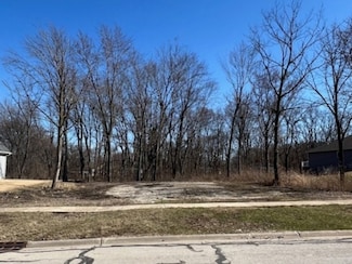 25401 S Copper Leaf Dr, Channahon, IL 60410