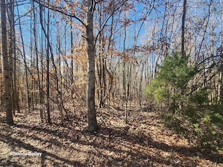 0 Lamon Chapel Loop, Jasper, AL 35503