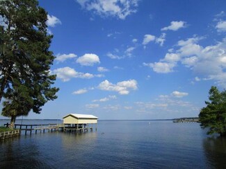 437 Santee Dr, Santee, SC 29142