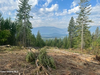 NKA Birdpoint Rd, Bonners Ferry, ID 83805