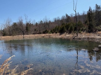 15141 County Road 421a, Birch Tree, MO 65438