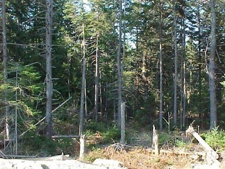 42 Eringlen Way, Canaan, NH 03741