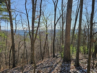 0 Bear Track Rd Unit 11478957, Gap Mills, WV 24941