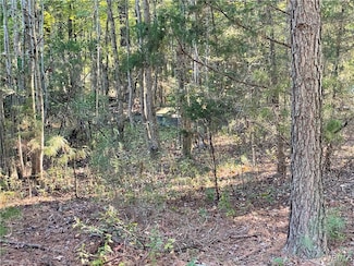 0 Mountain Rd, Glen Allen, VA 23060