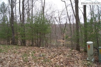 Lot 75 Forest Hill Dr, Sparta, NC 28675