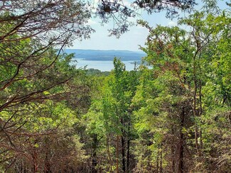000 Golden Run Ln Tract 25, Shell Knob, MO 65747