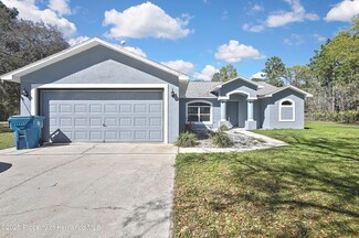 10325 Florida Wren Ave, Weeki Wachee, FL 34614