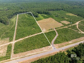 0 Horseneck Rd Unit Lot 3 374319, Bay Minette, AL 36507