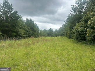 0 Hiltonia-Perkins Rd Unit 10583764, Sylvania, GA 30467