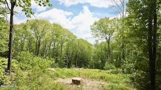 0 Jamie Ln, Sandisfield, MA 01245