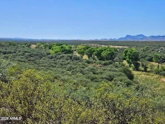 1388 E Cottonwood Ln, Huachuca City, AZ 85616
