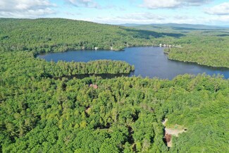 0 Edgemont Rd Unit Lot 1 4903309, Sunapee, NH 03782