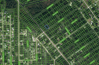 1202 Cardwell St, Lake Placid, FL 33852