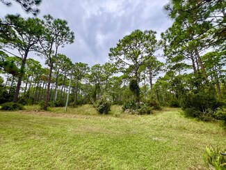 00 County Road 30a, Port St. Joe, FL 32456