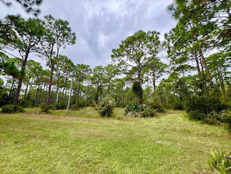 TBD Cr 30-A, Port St. Joe, FL 32456