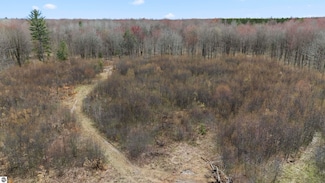 Parcel A E 32 Rd, Hoxeyville, MI 49601