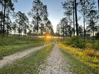4761 Hadley Ferry Rd, Cairo, GA 39828