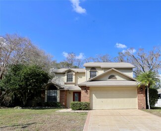 6307 Songbird Way, Tampa, FL 33625