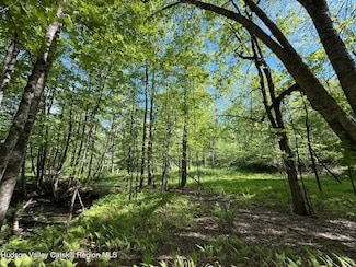 383 Ferndale Loomis Rd, Liberty, NY 12754