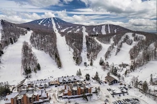73 Alpine Dr Unit c-211, Killington, VT 05751