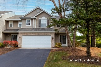 494 Abbey Mill Dr SE, Ada, MI 49301
