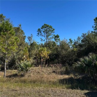 614 Clayton Ave, Lehigh Acres, FL 33972