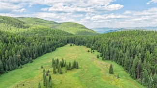 NHN Mountain Meadow Rd, Creston, MT 59901