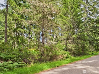 10412 Edgewood Dr, Anderson Island, WA 98303