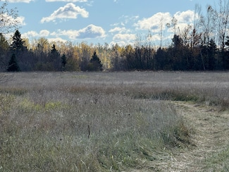 2651 Campbell Rd, Beaugrand Township, MI 49721