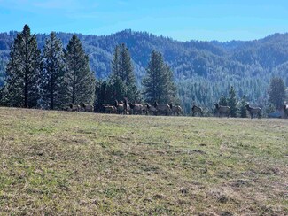 Lot 33 TBD Scriver Woods Rd, Garden Valley, ID 83622