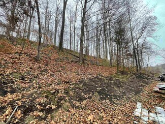 140 1/2 Sweet Home Church Rd, Fort Gay, WV 25514