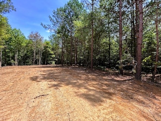 Lot 2 Tennessee 304, Ten Mile, TN 37880