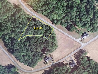 LOT 41 Sassafras Ct, Moneta, VA 24121