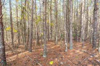 1940 Pleasant Hill Rd, Greer, SC 29651