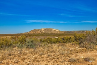 326 Menielle Rd, Robert Lee, TX 76945