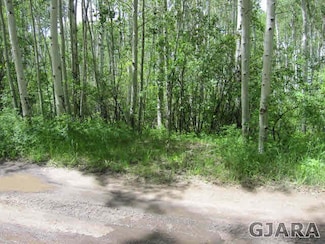 67862 Ferndell Rd, Collbran, CO 81624