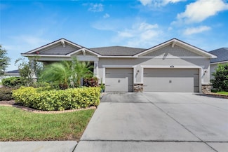 13012 Rain Lily Dr, Riverview, FL 33579