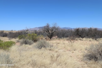 0 W Eeyore Ln Unit 22510381, Benson, AZ 85602