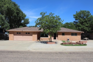 344 Douglas St, Hereford, TX 79045