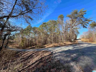 0 Becky Dr Unit 22 21402961, Lakeview, AL 35111