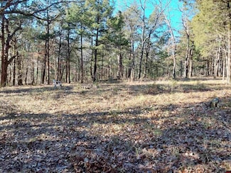 Lot 1-4 Mc 131, Oakland, AR 72661