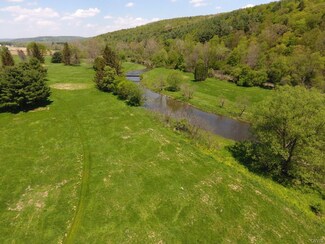 00 State Route 38, Newark Valley, NY 13811