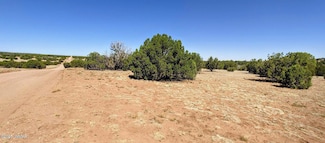 9182 Texas Ln, Show Low, AZ 85901