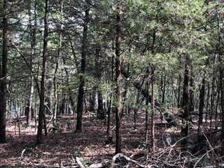 000 Meadowlark Tract #4, Golden, MO 65658